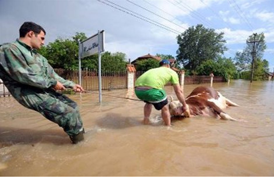 FAO: Καταμέτρηση ζημιών στον αγροτικό τομέα των Βαλκανίων από τις πλημμύρες
